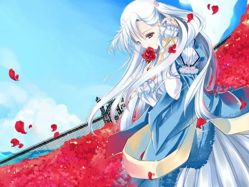 遗忘花园 (3).webp 遗忘花园 (3).webp