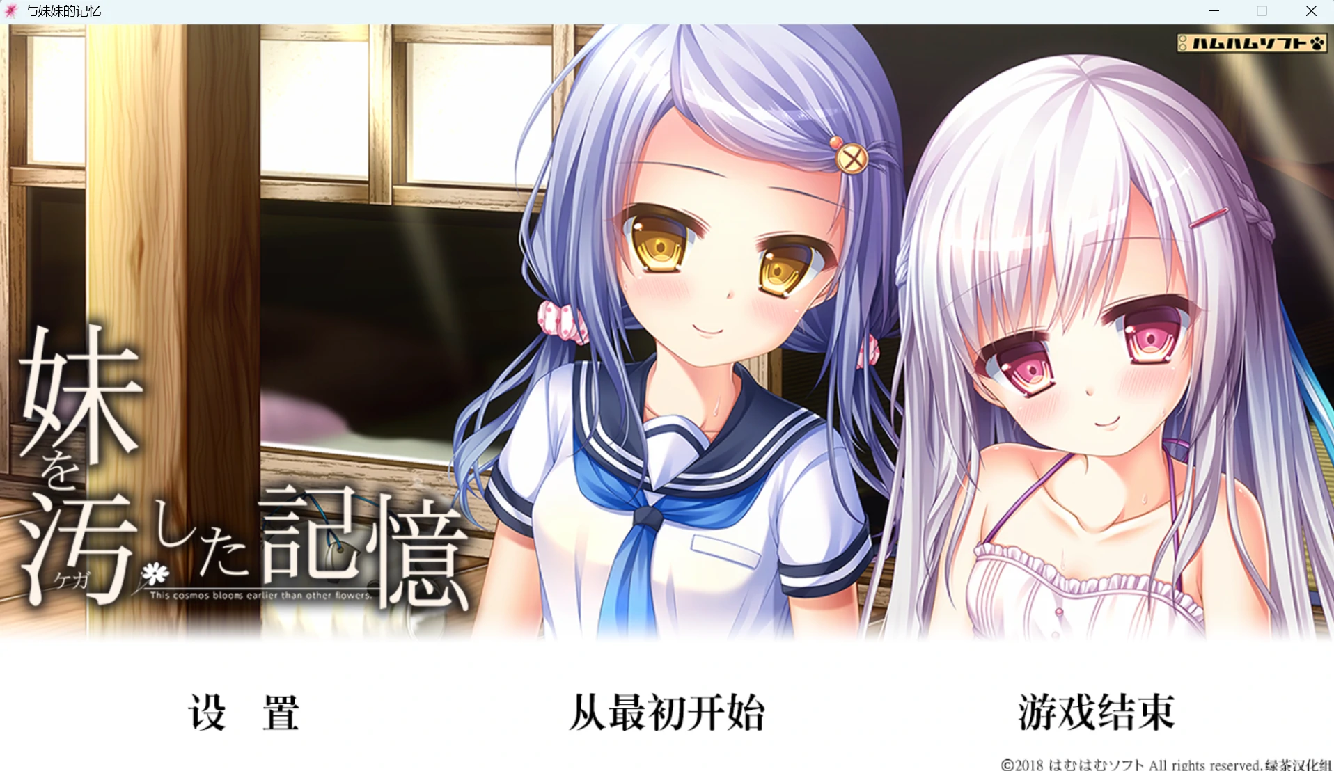 与妹妹的记忆 (4).webp 与妹妹的记忆 (4).webp